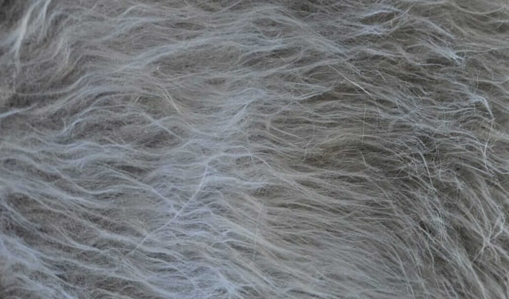 Tecido pelúcia: descubra as opções ideais para você