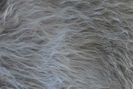 Tecido pelúcia: descubra as opções ideais para você