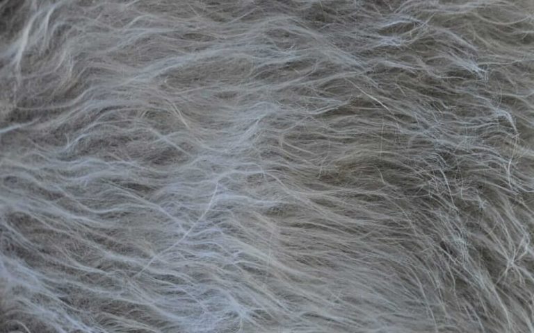 Tecido pelúcia: descubra as opções ideais para você