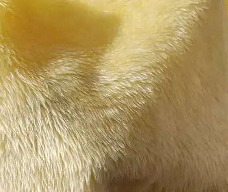 Tecido pelúcia velboa: conheça mais sobre
