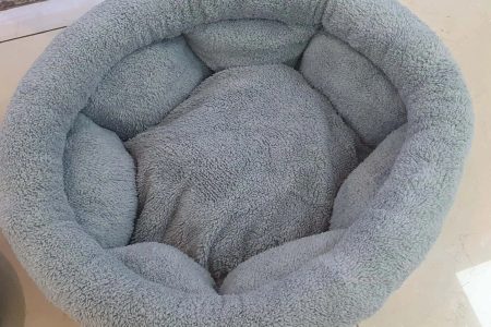 A importância em utilizar tecidos para pets: conforto e saúde para seu animal