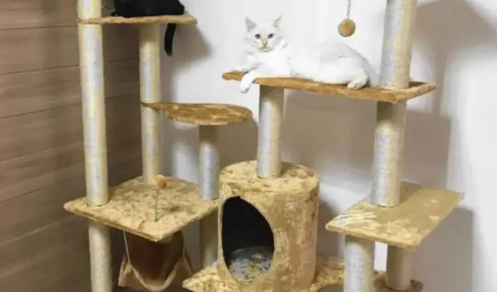 Qual o diferencial do tecido para animais de estimação?