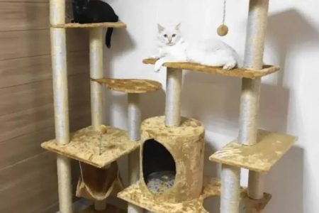Qual o diferencial do tecido para animais de estimação?