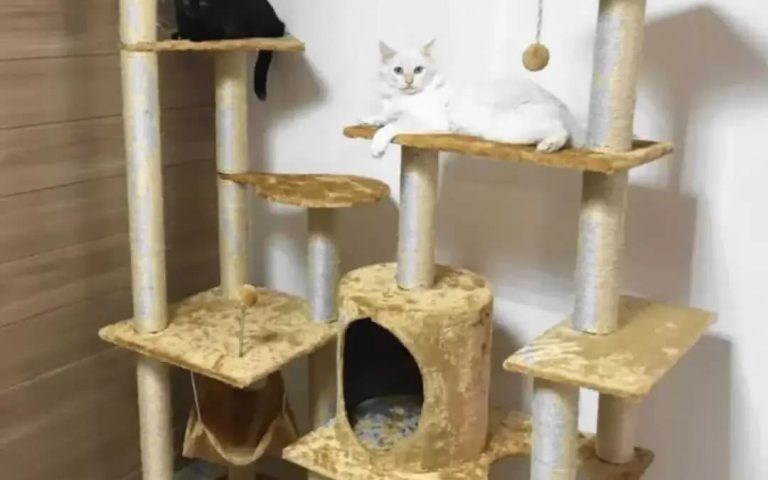 Qual o diferencial do tecido para animais de estimação?