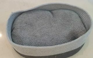 Como a escolha correta de tecido para pets garante conforto e segurança