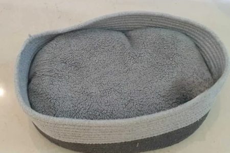 Como a escolha correta de tecido para pets garante conforto e segurança