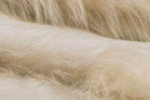 Fabricante de tecidos de pelúcia: onde encontrar?
