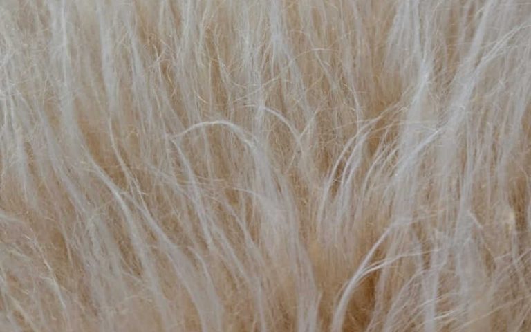 Tecido de pelúcia pelo longo: conforto, beleza e funcionalidade em um só material