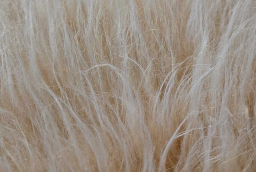 Tecido de pelúcia pelo longo: conforto, beleza e funcionalidade em um só material