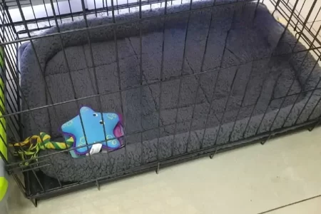 Qual o melhor tecido para brinquedos de pets?