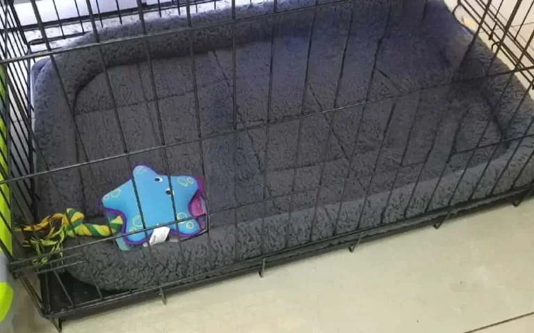 Qual o melhor tecido para brinquedos de pets?