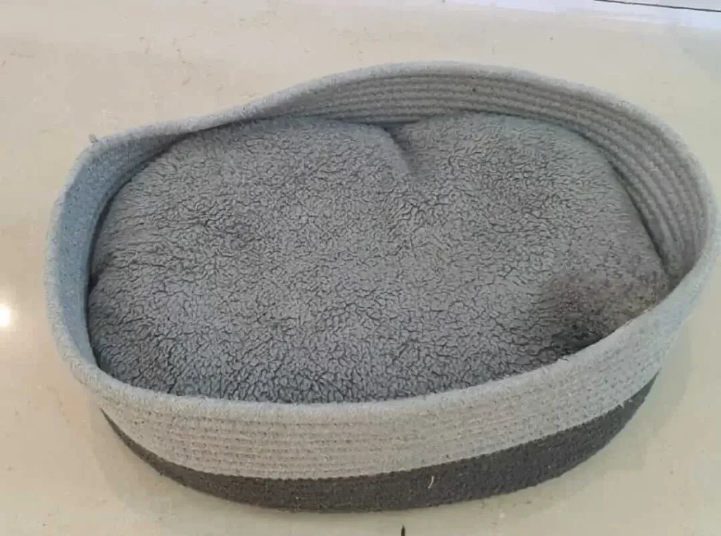 Tecido para cama de pet: como escolher o melhor para conforto e durabilidade
